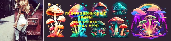 СК Алзамай