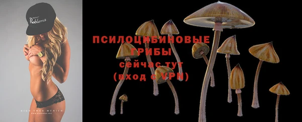 СК Алзамай