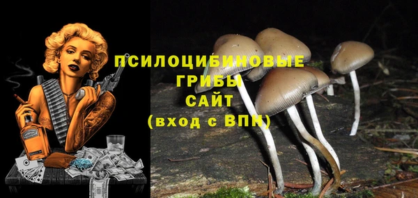 соль курить ск Алексин